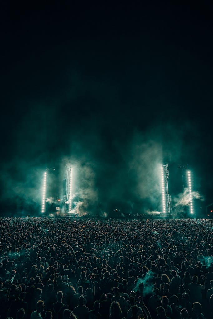 Crowd at the Concert at Night