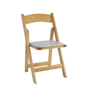 Wood Resin Chair