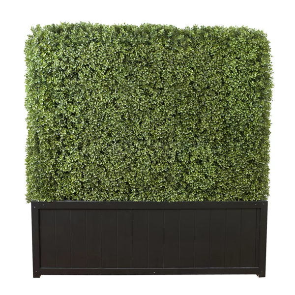 Boxwood Hedge 4 Boxwood Hedge 4